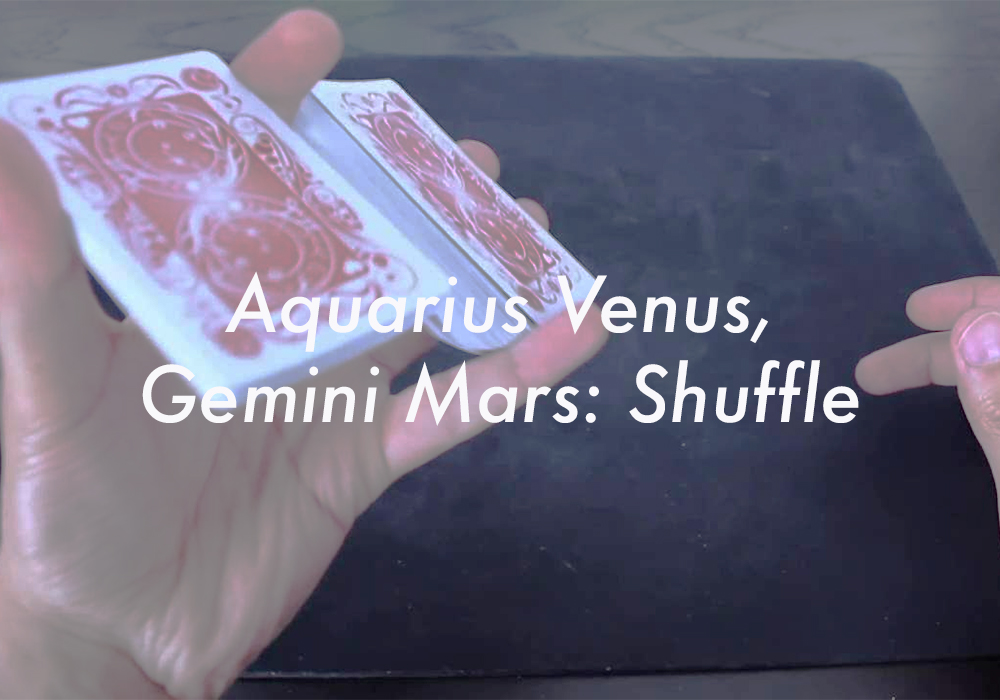 Aquarius Venus Gemini Mars