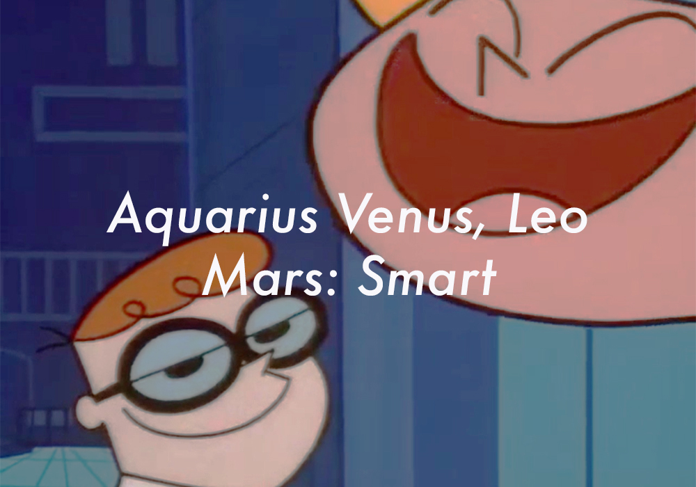 Aquarius Venus Leo Mars