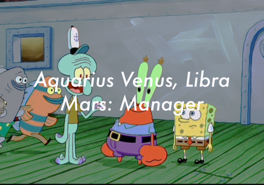 Aquarius Venus Libra Mars