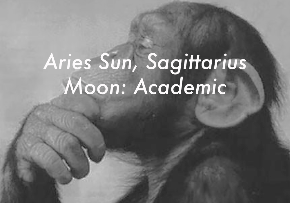 Aries Sun Sagittarius Moon