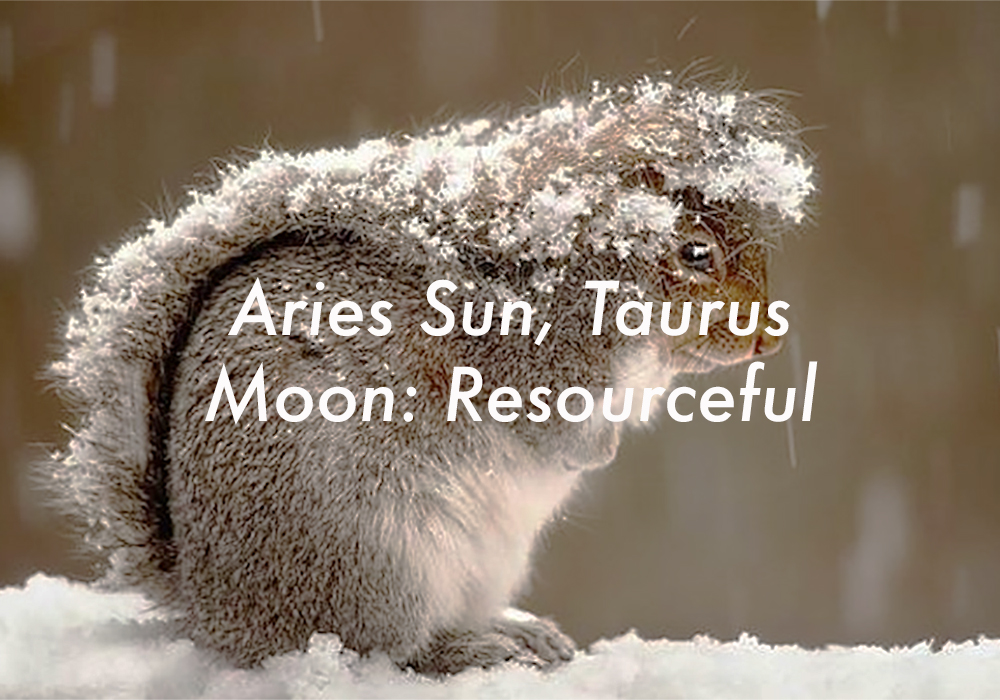 Aries Sun Taurus Moon