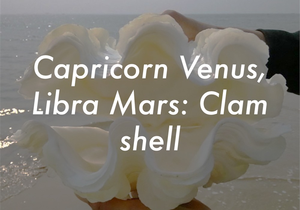 Capricorn Venus Libra Mars