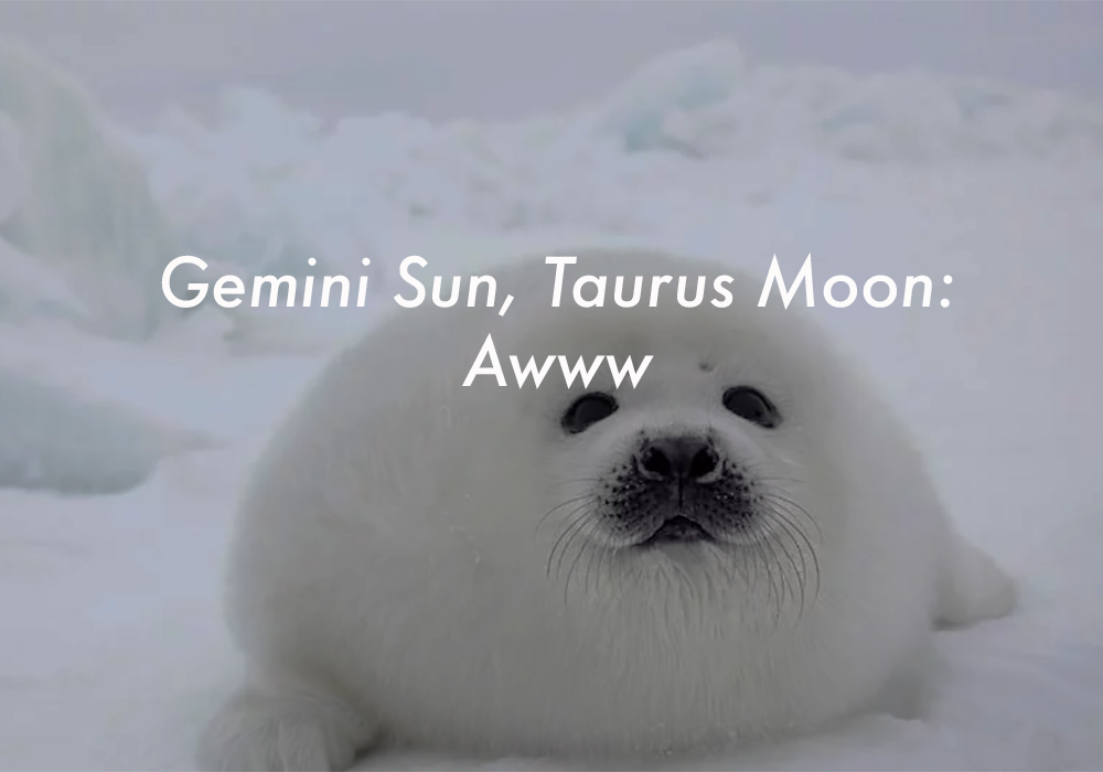 Gemini Sun Taurus Moon