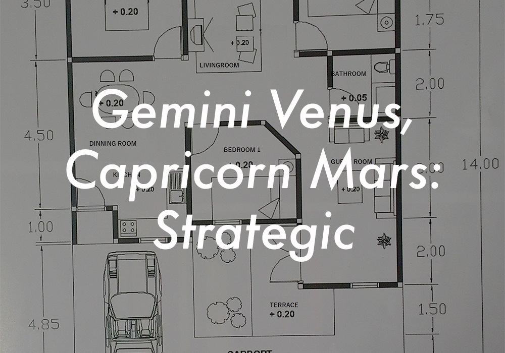 Gemini Venus Capricorn Mars