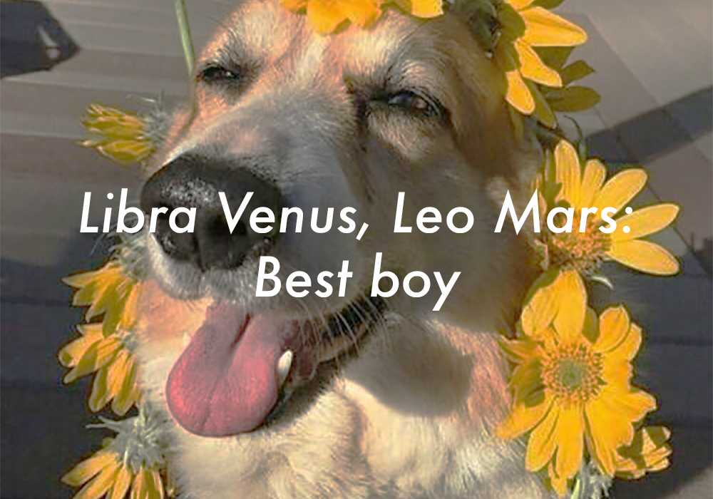 Libra Venus Leo Mars