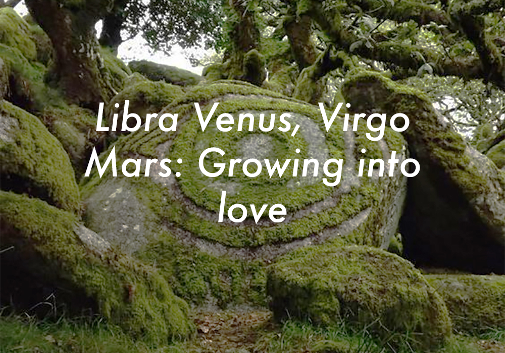 Libra Venus Virgo Mars