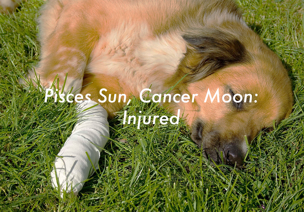 Pisces Sun Cancer Moon