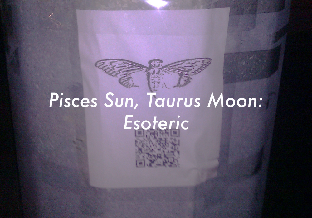 Pisces Sun Taurus Moon