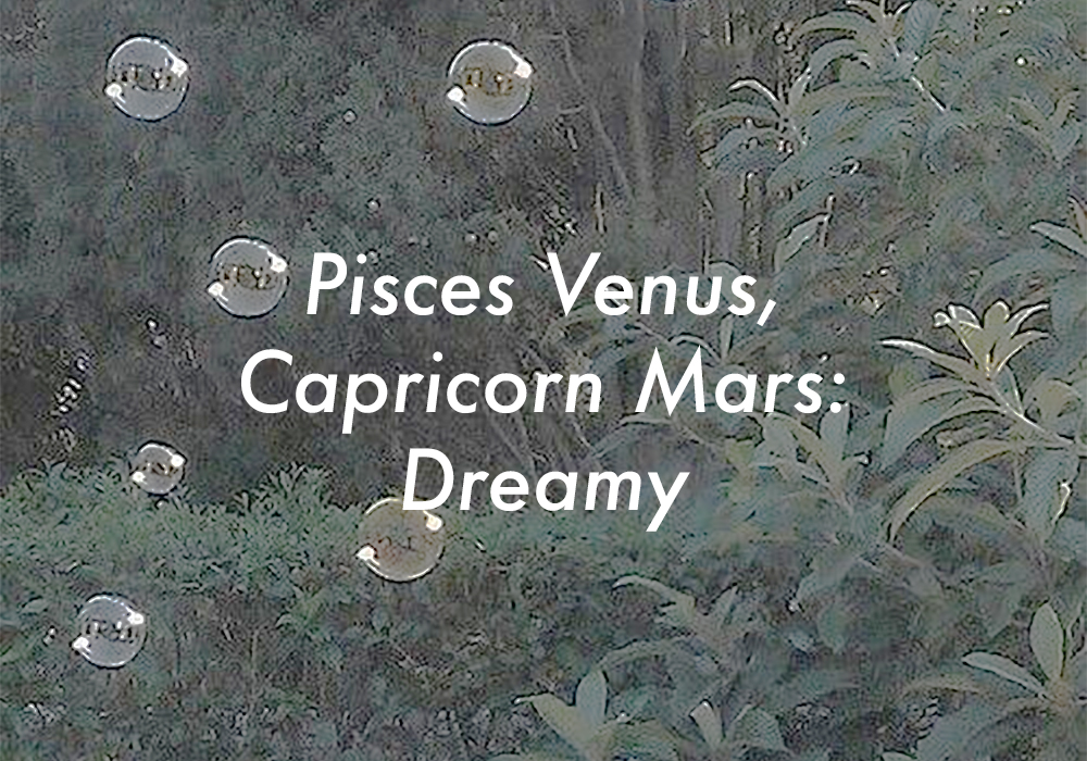 Pisces Venus Capricorn Mars