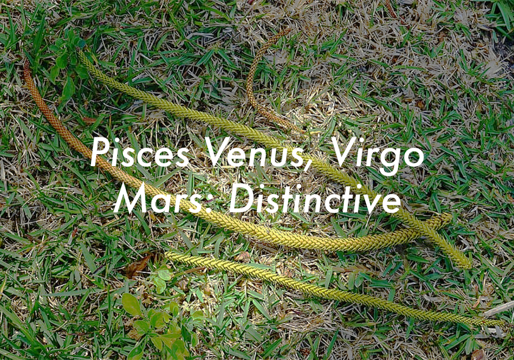 Pisces Venus Virgo Mars
