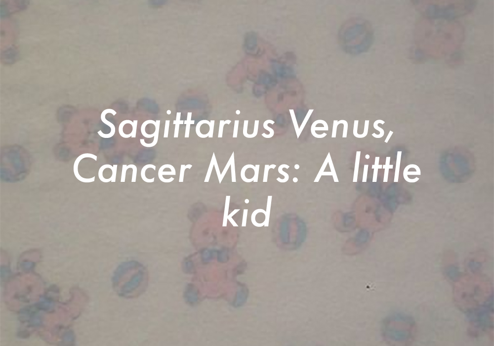 Sagittarius Venus Leo Mars