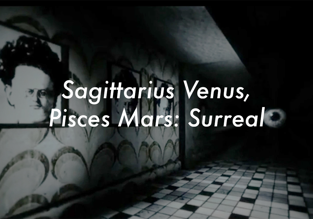 Sagittarius Venus Pisces Mars