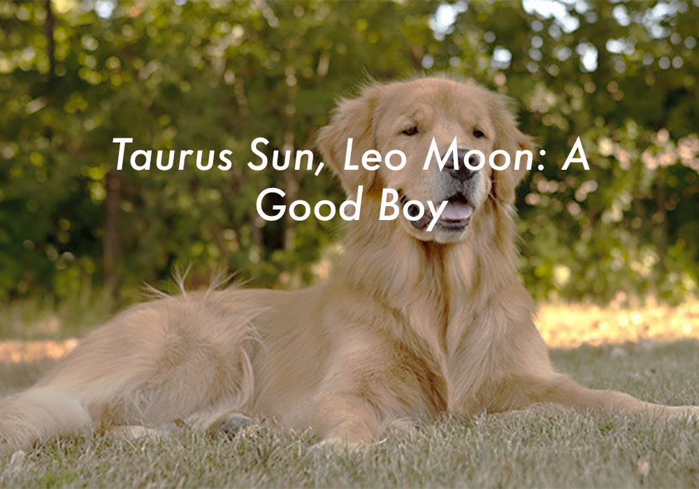 Taurus Sun Leo Moon