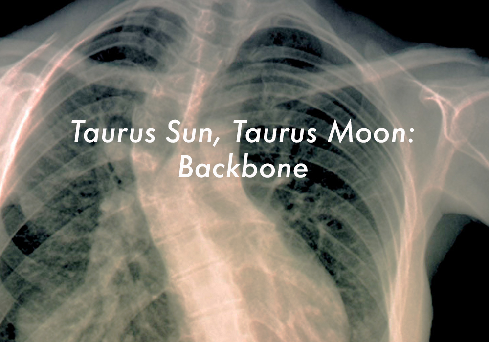 Taurus Sun Taurus Moon