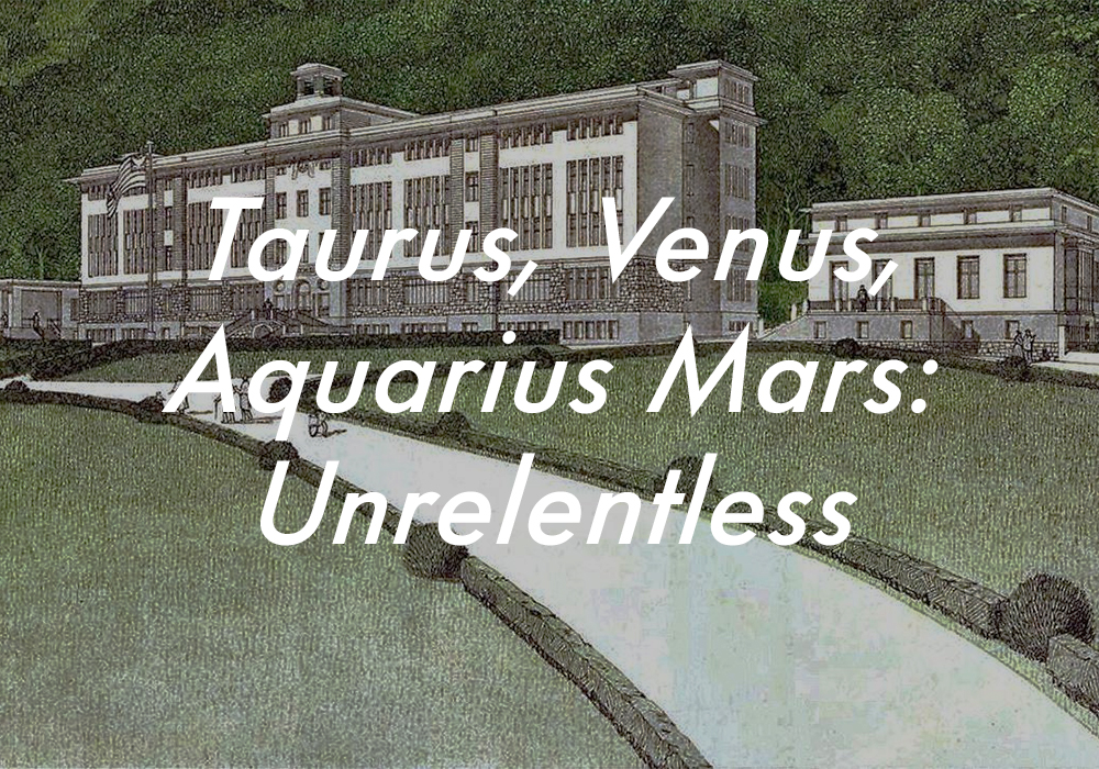 Taurus Venus Aquarius Mars