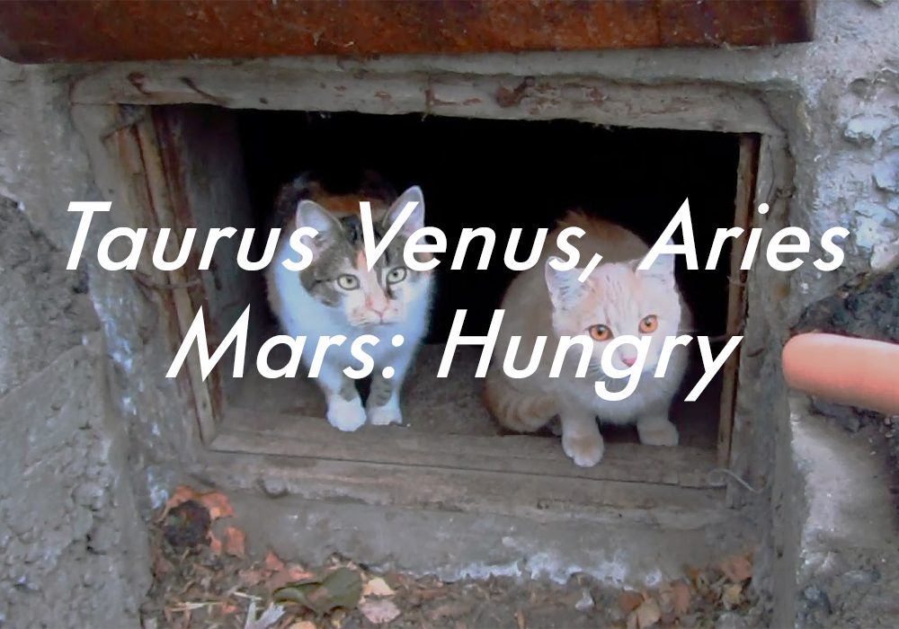 Taurus Venus Aries Mars