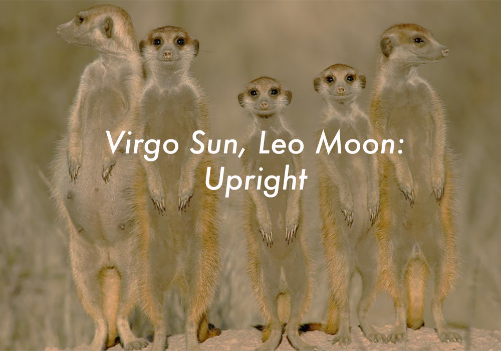 Virgo Sun Leo Moon