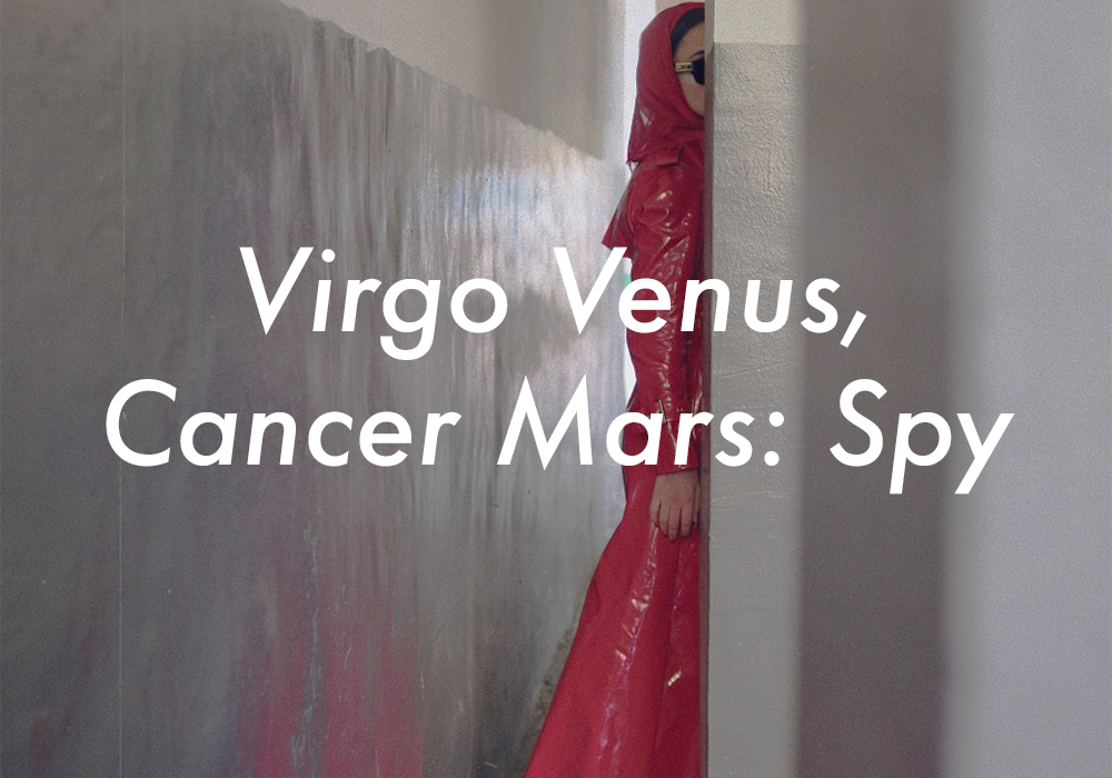 Virgo Venus Cancer Mars